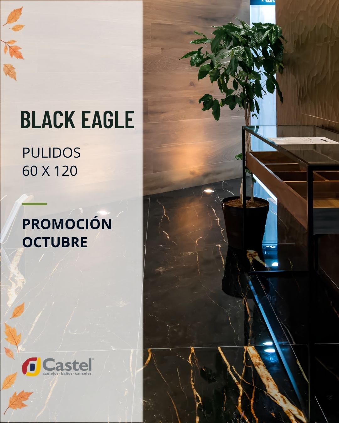 Black Eagle pulido 60x120 de Castel, piso negro con vetas doradas. Promoción de octubre.